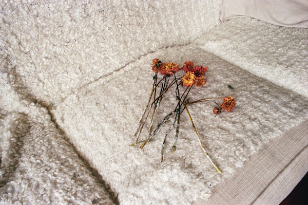 United (Couch) by Lindsey Filowitz