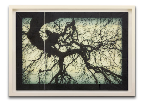 Structure of Thought 26 by Doug and Mike Starn