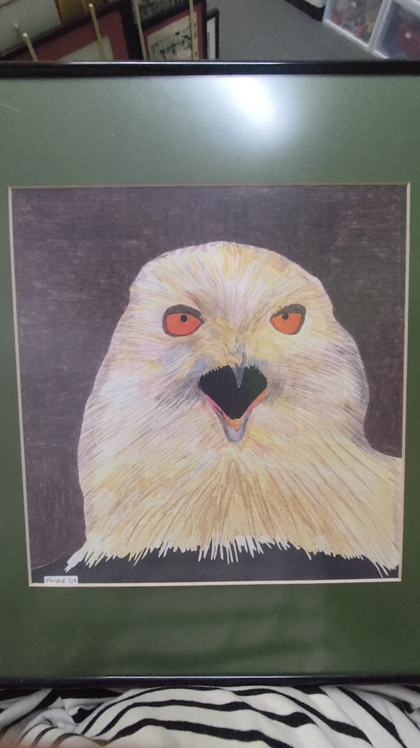 Bald Eagle in colored pencil by Lynn J. Poyer