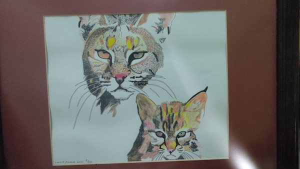 Mother Cougar and Cub by Lynn J. Poyer