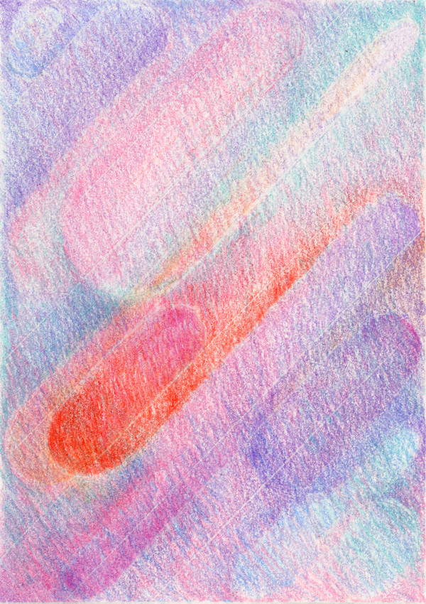 Untitled by Jonathan H Alfaro, Image 1.