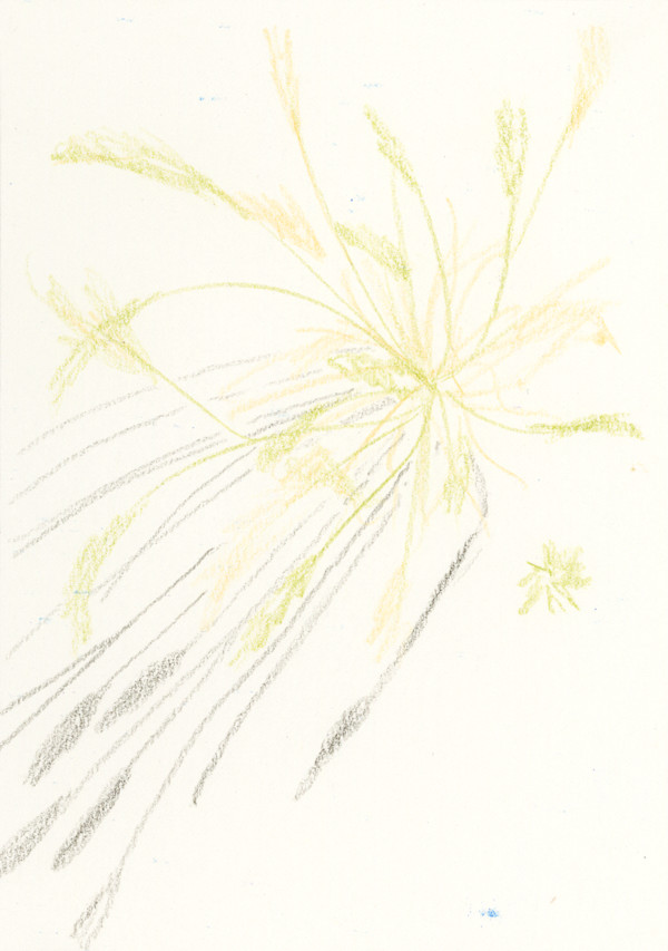 Untitled by Jonathan H Alfaro, Image 1.
