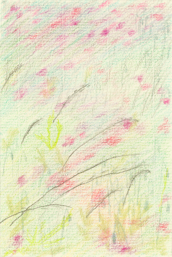 Pink Sunburn by Jonathan H Alfaro, Image 1.