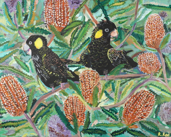 Black Cockatoos in the Banksias by Rachel Rae
