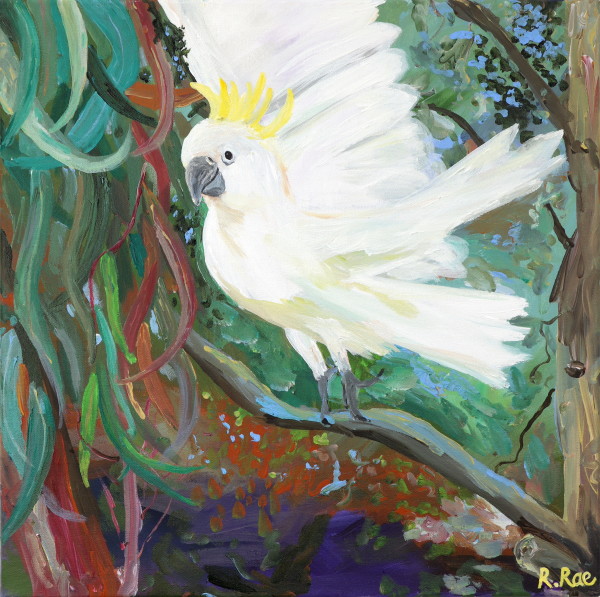 Sulphur Crested White Cockatoo in the Gumtree by Rachel Rae