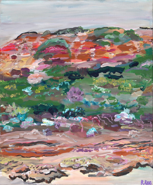 The Coloured Cliff by Rachel Rae