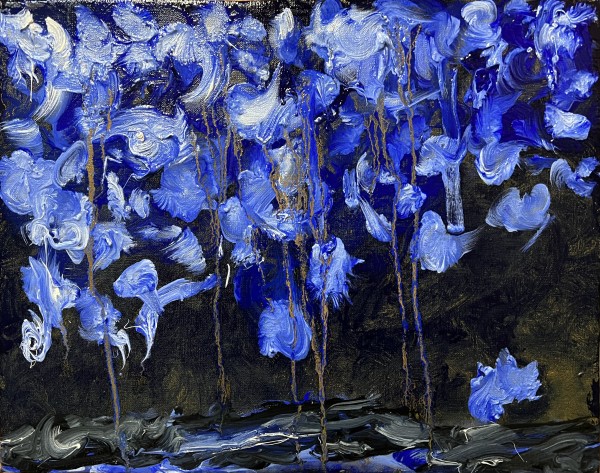 Iris in Blue by Henk Jonker