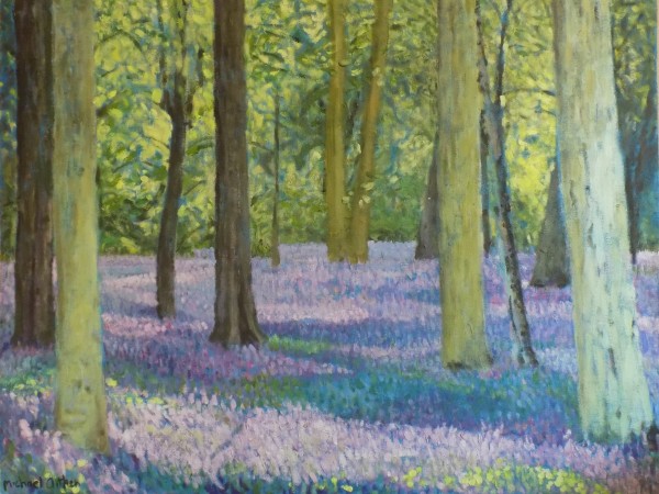 Bluebell Wood on Winter hill by Versonic-art