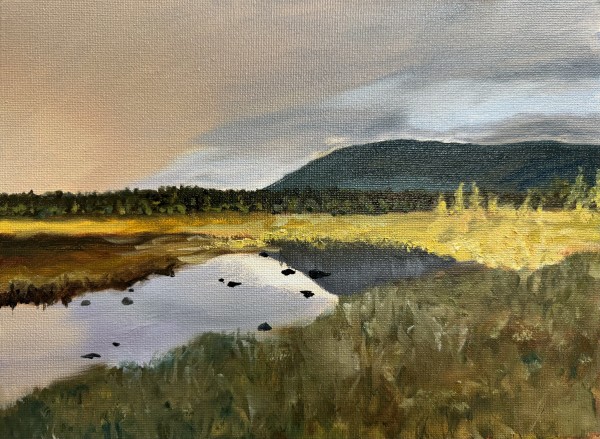 Breathing Silence by Tina Ellis