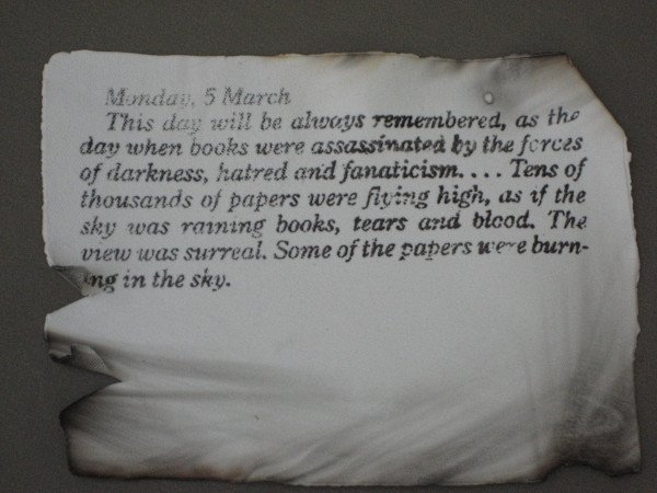Democracy Dies in Darkness by Lilianne Milgrom, Image 1.