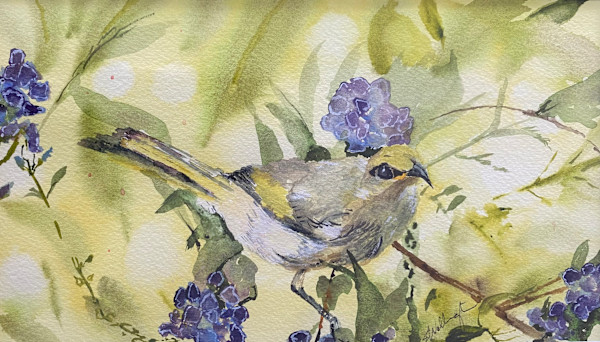 Happy Honeyeater by Susan Wellingham