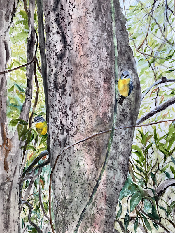 Robins Interrupted by Susan Wellingham