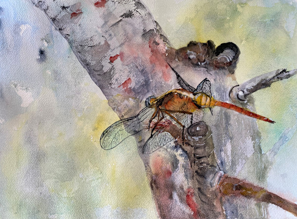 Taking Flight by Susan Wellingham