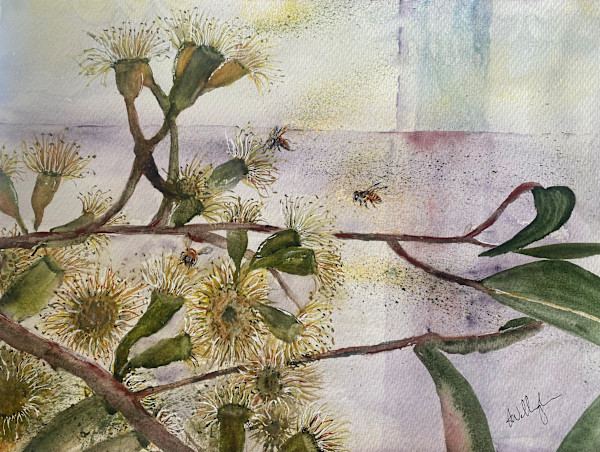 Bush Blossom by Susan Wellingham