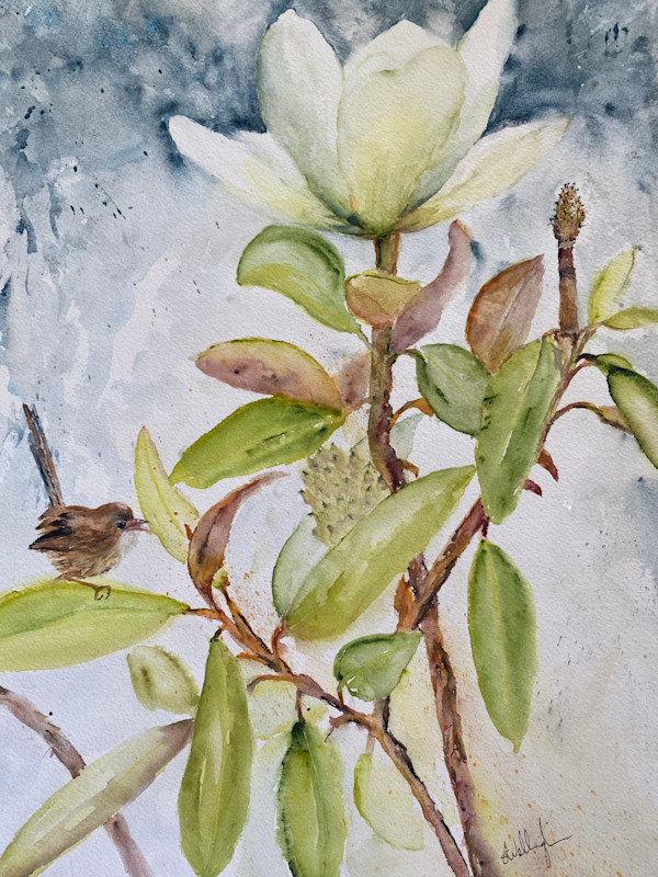 Valley Magnolia and Wren by Susan Wellingham