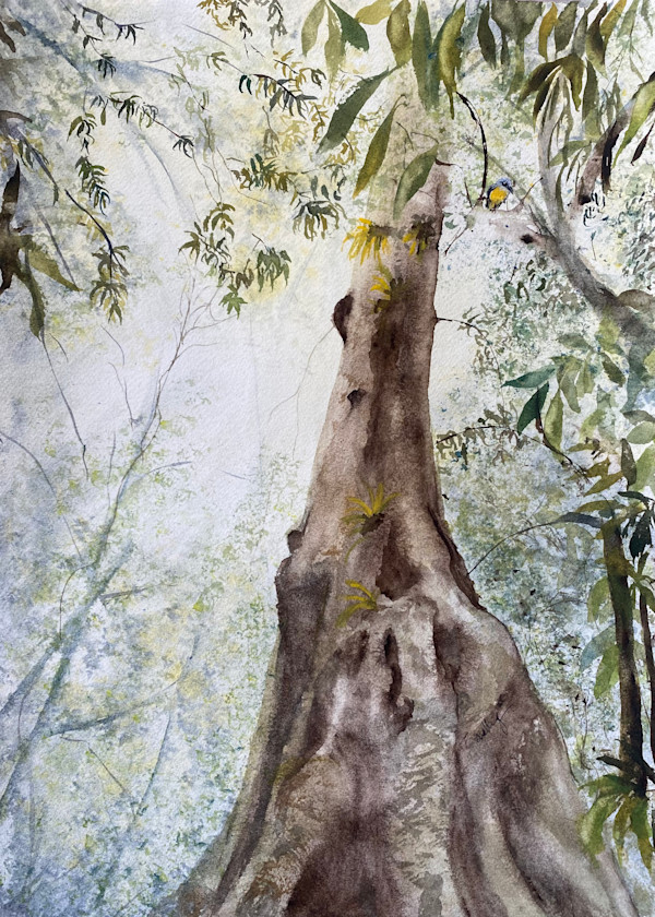 A Place to Be by Susan Wellingham