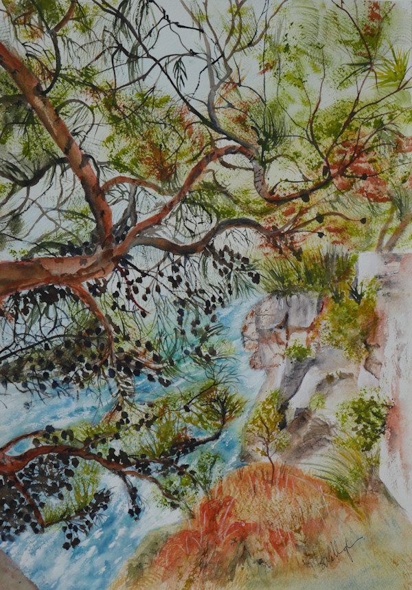 Coastal Perspective by Susan Wellingham