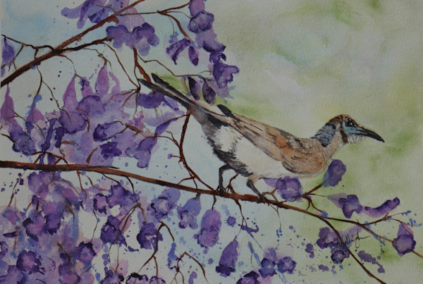 Little Friarbird's Moment by Susan Wellingham