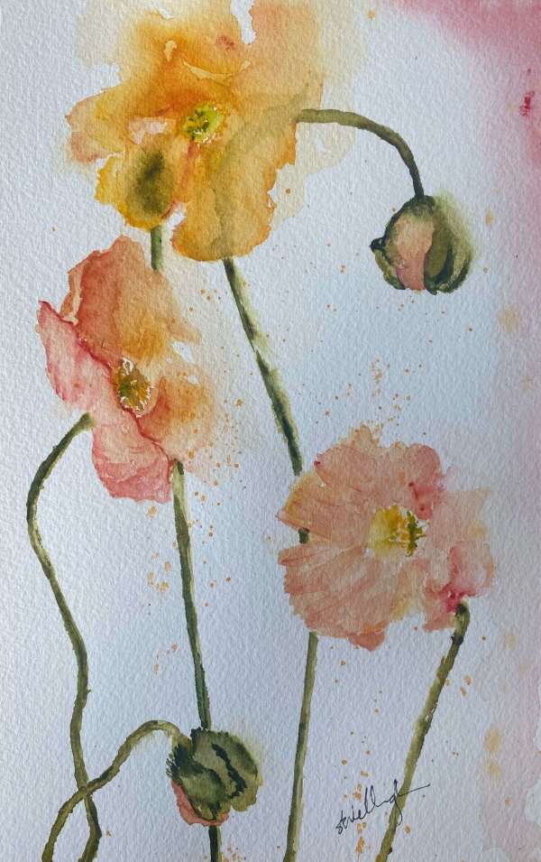 Small Poppy Study by Susan Wellingham