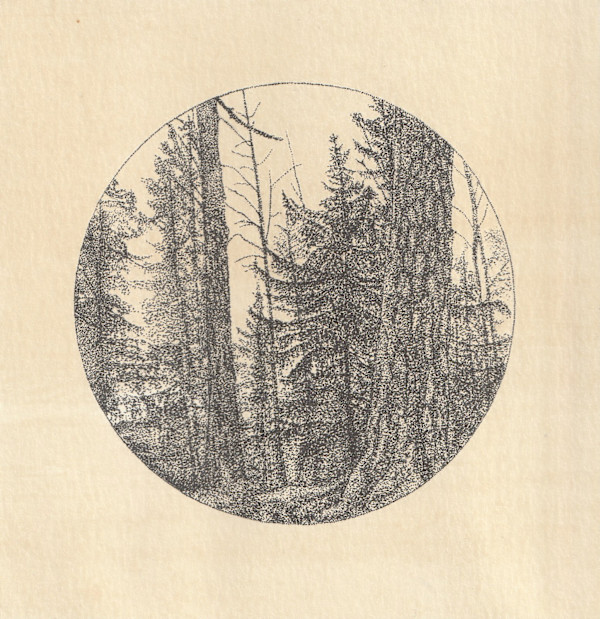 Untitled by Alexandra Uppman, Image 3.
