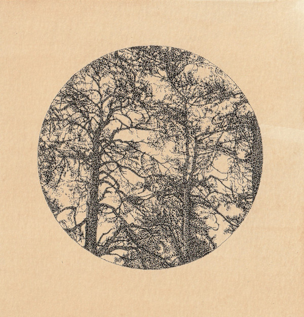 Untitled by Alexandra Uppman, Image 9.