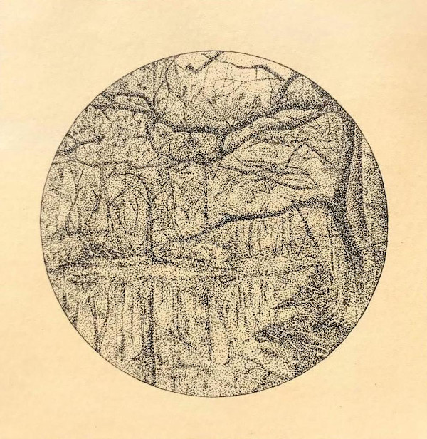 Untitled by Alexandra Uppman, Image 1.