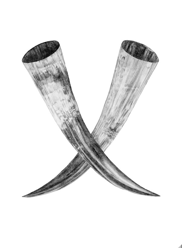 Horns by Alexandra Uppman, Image 1.