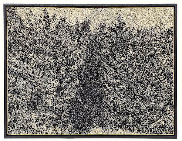 Home is Where the Forest is by Alexandra Uppman, Image 1.