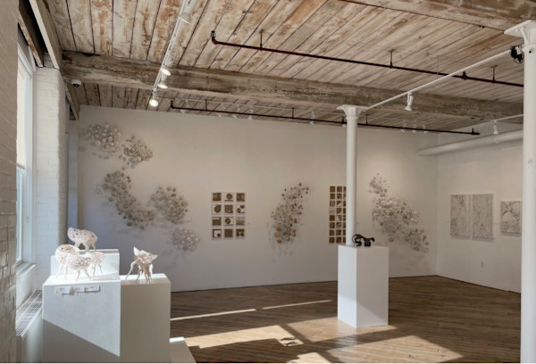 Installation at the Crown Gallery, Metro Art Studios by Tamara Dimitri