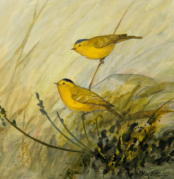 Wilson's Warblers by Floy Zittin
