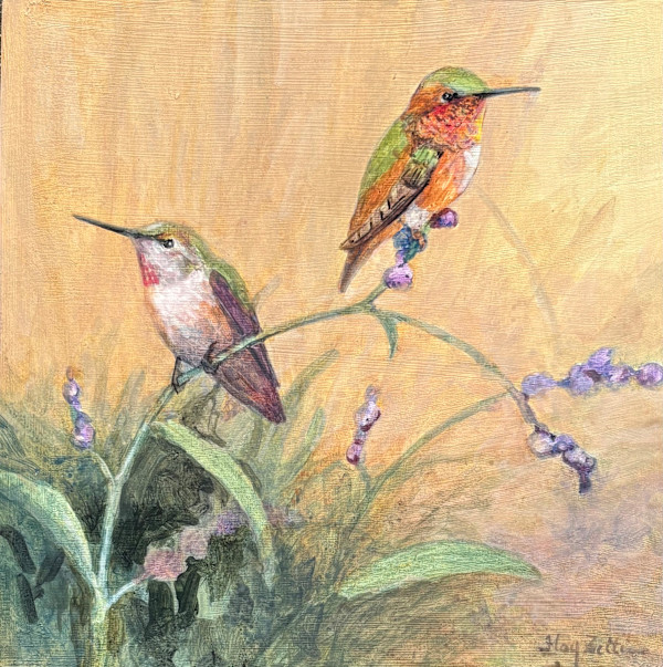 Allen's Hummingbirds by Floy Zittin