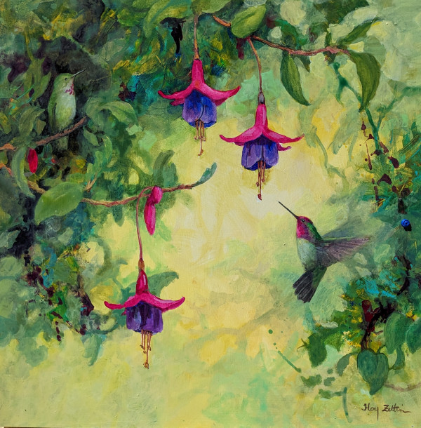 Anna's Hummingbird and Fuchsias by Floy Zittin