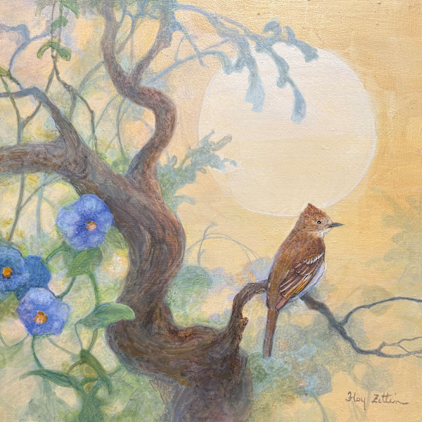 Ash-throated Flycatcher by Floy Zittin, Image 1.