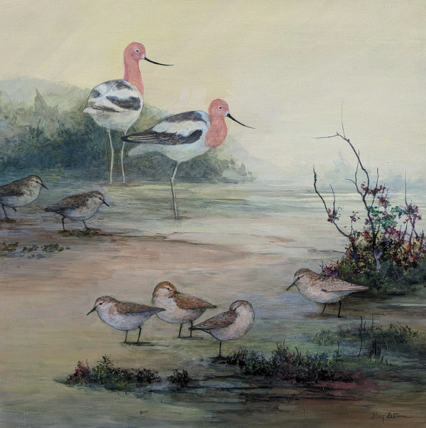Avocets and Sandpipers by Floy Zittin