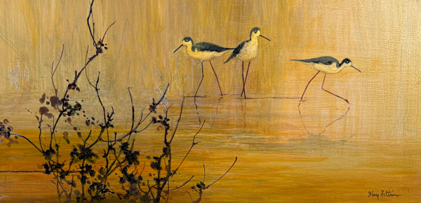 Black-necked Stilts by Floy Zittin