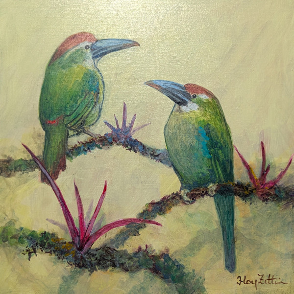 Blue-banded Toucanets by Floy Zittin