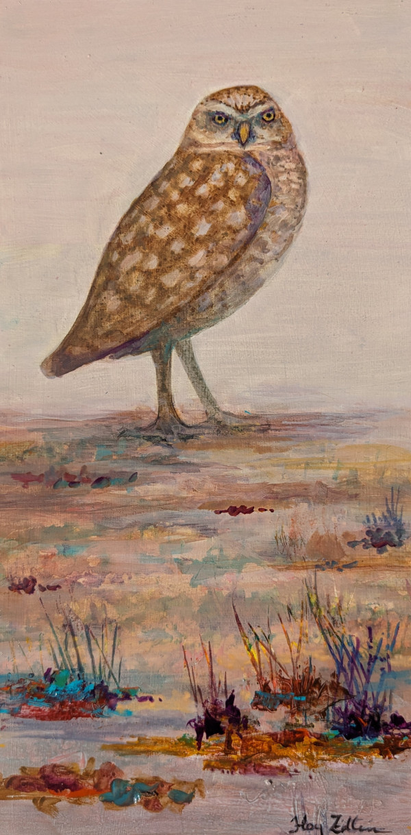 Burrowing Owl Alone by Floy Zittin