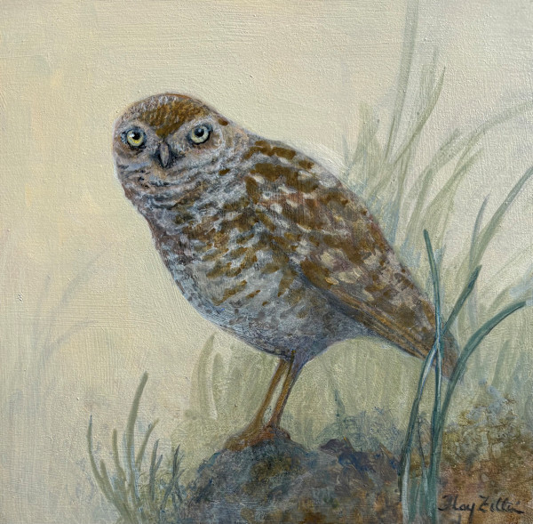 Burrowing Owl by Floy Zittin, Image 3.
