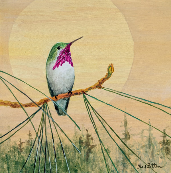 Calliope Hummingbird by Floy Zittin