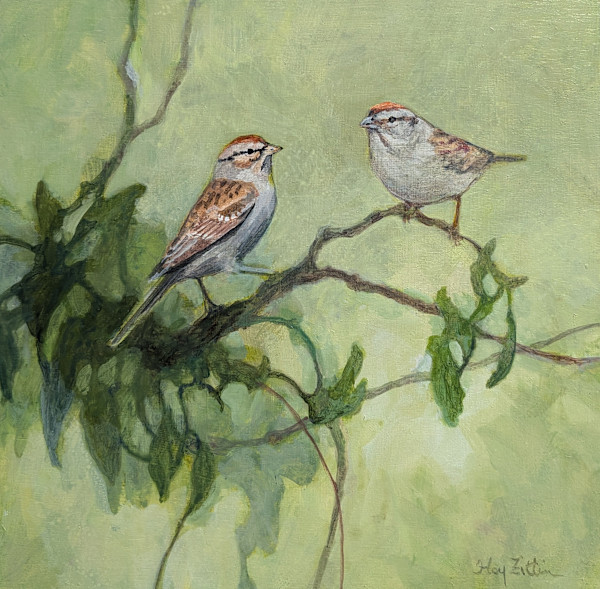 Chipping Sparrows by Floy Zittin
