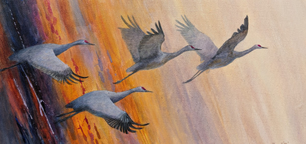 Cranes in Flight by Floy Zittin