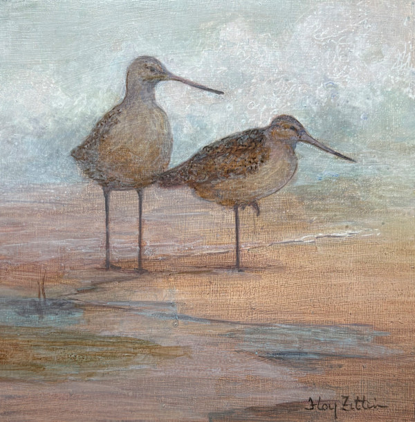 Godwits by Floy Zittin