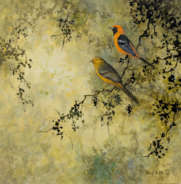 Hooded Oriole Pair 2 by Floy Zittin