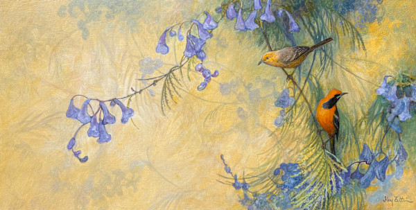 Hooded Oriole Pair by Floy Zittin, Image 1.