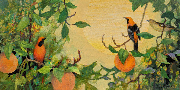 Hooded Orioles and Oranges by Floy Zittin