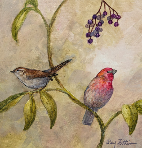 House finch and Bewick's Wren by Floy Zittin