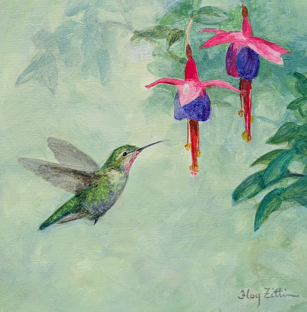 Hummingbird and Fuchsia by Floy Zittin