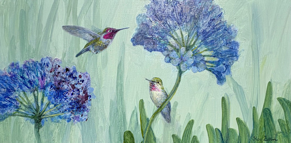 Hummingbird and Agapanthus by Floy Zittin