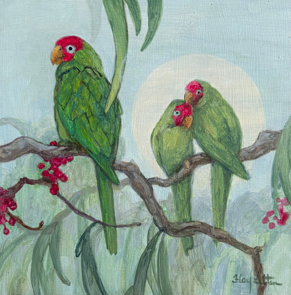Jealousy - Masked Parakeets by Floy Zittin, Image 1.