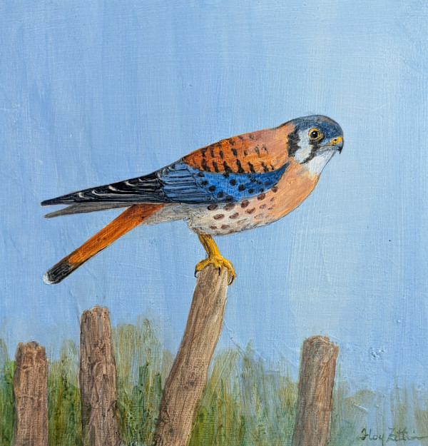Kestrel and Posts by Floy Zittin
